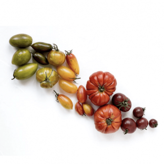 [Юлия Мальцева] Фитонутриенты: Еда как лекарство. Практический курс по функциональному питанию (2022)