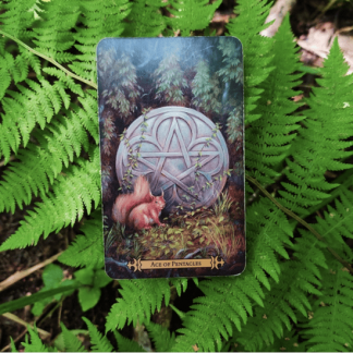 [Марина Анисина] Секрет успеха: финансы, работы и бизнес в картах Таро (2022)