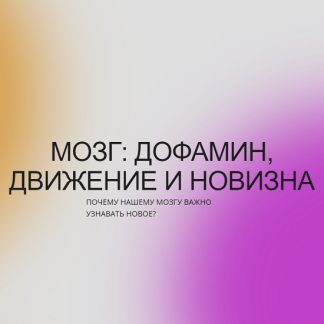 [Вячеслав Дубынин] Мозг: дофамин, движение и новизна (2022)