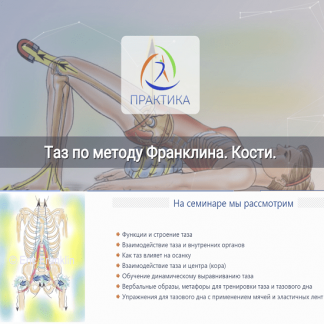 [Людмила Бабанская] Таз по методу Франклина. Кости (2022) [Центр Практика]