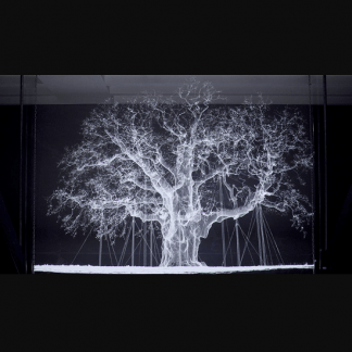 [MMOMA][Ксения Голубович] Предмет искусства: образ, начало (2023)