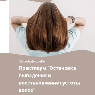 [Алена Панова] Остановка выпадения и восстановление густоты волос (2023) [Инкубатор волос]
