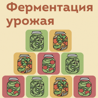 [Мария Сочилкина] Ферментация урожая (2023) [Ferment in wonderland]