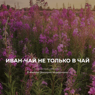 [Валерий Коршунов] Иван-чай не только в чай (2023) [festtrav]