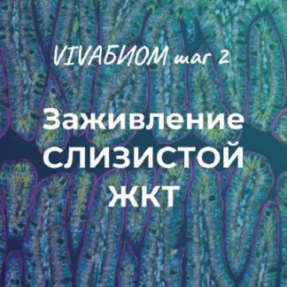 [Анна Кортунова] Vivabiom шаг 2: Заживление слизистой ЖКТ (2023)