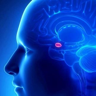 [Дмитрий Исаев, Александр Драгнев] Фабула "Гипофиз" (2023)