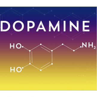 [Ирина Баранова, Татьяна Смольянинова] Дофаминомания (август 2023) [Первая школа биохакинга]