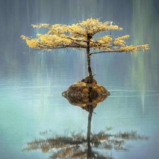 [Андрей Ткаченко] Точка сборки (2023)