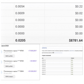 [Павел Корнев] Схема - Видосики 90 000р/месяц дохода без вложений (2024)