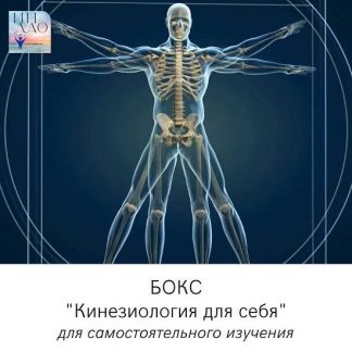 [Сергей Матюшкин] Бокс "Кинезиология для себя" (2023)