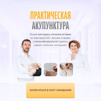[Тамара Хестанова, Станислав Сидоров] Практическая акупунктура Модуль 8 (2024) [Тариф Самостоятельный]