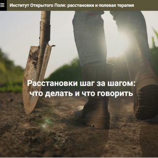 [Елена Веселаго] Расстановки шаг за шагом: что делать и что говорить. Без места расстановщика (2023) [Институт открытого поля]