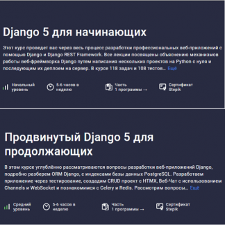 [Илья Перминов] Django 5 для начинающих + Продвинутый Django 5 для продолжающих (2024) [Stepik]