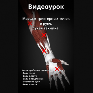 [Артём Пак] Массаж триггерных точек в руке (2024)