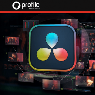 [Дмитрий Ларионов] Монтаж в Davinci Resolve 18. Базовый уровень (2024) [Profileschool]