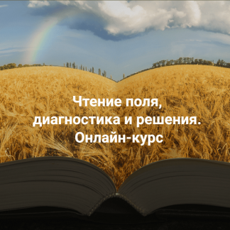 [Елена Веселаго] Чтение поля, диагностика и решения (2024) [тариф Апгрейд до пакета "Полный"]