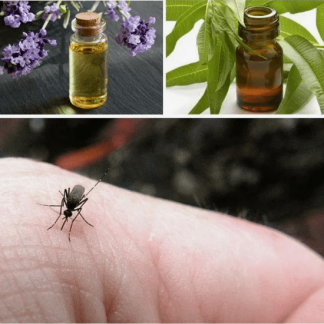 [Илья Чумаков] Клещи, комары, клопы и мошка - как защитить людей и животных с помощью эфирных масел? (2024) [Академия AromaVita]