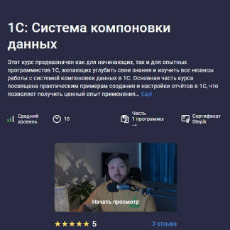 [Василий Еремин] 1С: Система компоновки данных (2024) [Stepik]