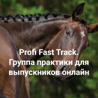 [Елена Веселаго] Profi Fast Track. Травма и переплетение: с чего начать работу. Группа практики для выпускников онлайн (2023)