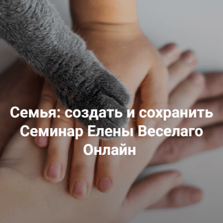 [Елена Веселаго] Семья: создать и сохранить (2024) [Институт Открытого Поля]