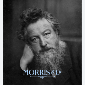 [Татьяна Быковская] Моррис и КО (2024) [Topcreator.school] [тариф "Бакалавр"]