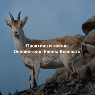 [Елена Веселаго] Практика и жизнь (2024) [Ступень 2][Институт Открытого Поля]