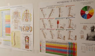 [kinesio.space] Плакат "Иннервация и Рефлексы" (2024)