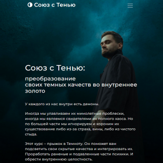 [Александр Некрасов] Союз с тенью: преобразование своих темных качеств во внутреннее золото (2024) [тариф "Индивидуальный"]