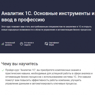 [Василий Еремин] Аналитик 1С. Основные инструменты и ввод в профессию (2024) [Stepik]