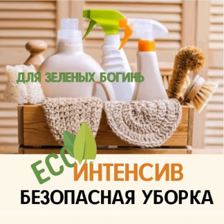 [Екатерина Кудерцева] Безопасная уборка (2024)