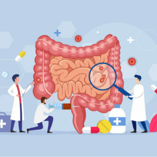 [Ольга Евдокимова] Почему большую часть проблем с ЖКТ и здоровьем нужно начинать с восстановления кишечника. И как конкретно это сделать? (2024)