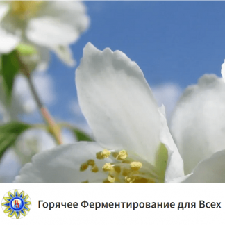 [Сергей Гладков] Горячее ферментирование для всех (декабрь 2023-октябрь 2024) [тариф "Золото"]