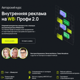 [Виктория Мурашкина, Вячеслав Малых, Павел Михайлов] Внутренняя реклама на Wildberries: Профи 2.0 (2024) [тариф «Профи. С куратором»]