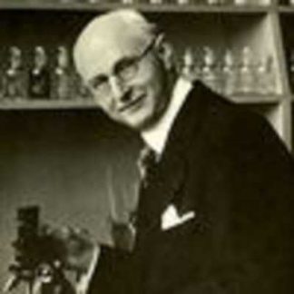 [weston_price_] Без кариеса (2025)