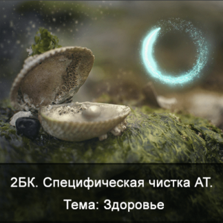 [Ксения Меньшикова] 2БК Специфическая чистка астрального тела. Тема: Здоровье