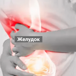 [Никита Истомин] Желудок (2024)