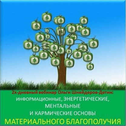 [Ольга Шнейдеров-Детин] 2х-дневный вебинар «Информационные, энергетические, ментальные и кармические основы материального благополучия» (2024) [inaintera]