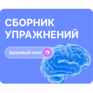 [Виктория Боровская] Сборник сенсорных упражнений для активации мозга (2024) [FitSpoКлуб]