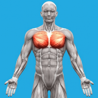 [Александр Волоткевич] Дыхание. Терапия внутренним давлением. Мьюинг. Рефлекторные техники (2025)