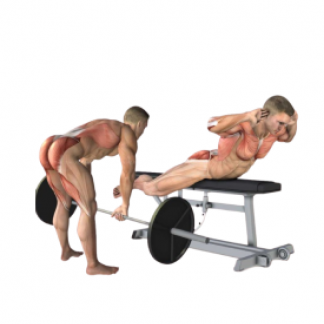 [Александр Волоткевич] Приседания и хинч. Лучший способ реабилитации и тренировки таза и нижних конечностей (2025)