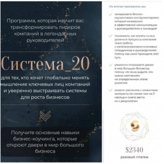 [Михаил Саидов, Елена Долинская] Система_20