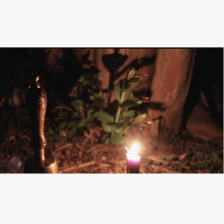 [Олег Чуруксаев] Мастерские обряды целительства (2025)