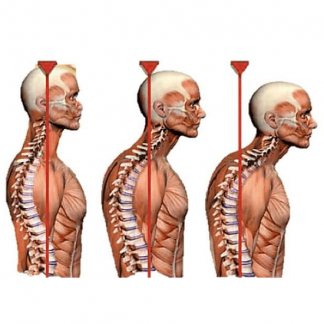 [Александр Волоткевич] Практические примеры коррекции осанки и фигуры в сагиттальной плоскости (2025)