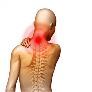 [Александр Волоткевич] Шея: биомеханика и коррекция распространенных патологий. Холка. Протракция. Неспецифические боли (2025)