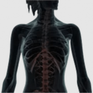 [Александр Волоткевич] Торчащие ребра: биомеханика, тестирование и коррекция (2025)