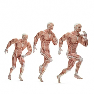 [Александр Волоткевич] Ягодицы 360. Связь со стопой. Фазы походки (2025)