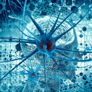 [Ольга Сварник] Введение в когнитивную нейронауку. Лекция 1. Принципы функционирования мозга (2025) [Архэ]