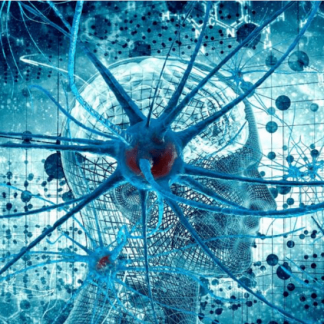 [Ольга Сварник] Введение в когнитивную нейронауку. Лекция 6. Мозг во сне (2025) [Архэ]