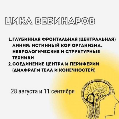 [Александр Волоткевич] Соединение центра и периферии (диафрагм тела и конечностей) (2025)