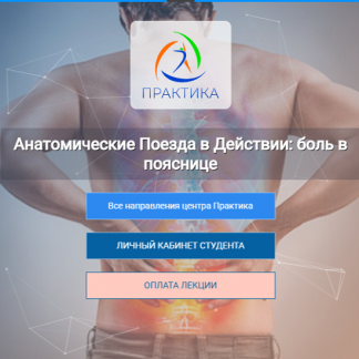 [Анна Щербина] Анатомические поезда в действии: боль в пояснице (2025) [Центр Практика]